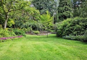 Optimiser l'expérience du jardin à Lacarry-Arhan-Charritte-de-Haut